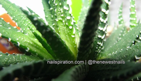 Green Nails Thenewestnails