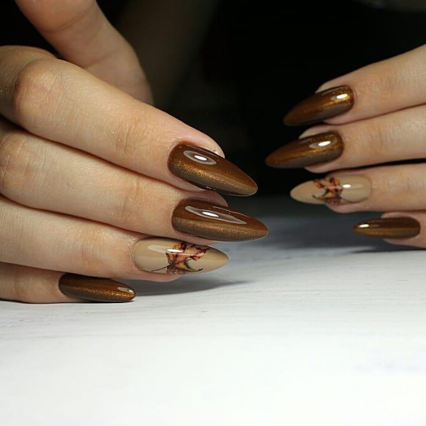 brown-cat-eye-fall-nail-polish-on-long-nails