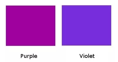 What Is the Difference Between Violet and Purple Nail Shades