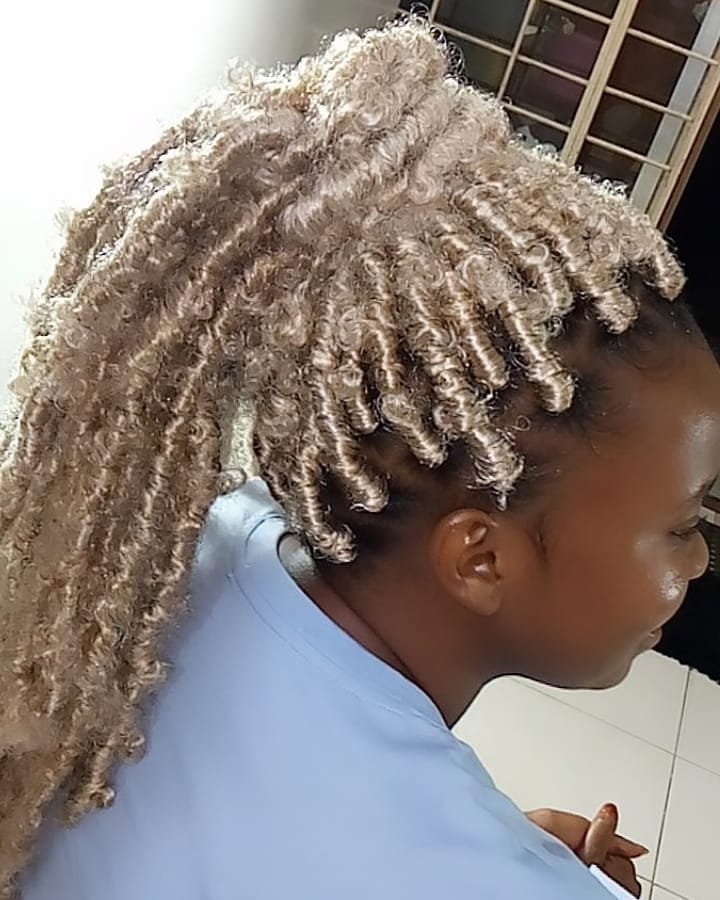 Silver Blonde Butterfly Braids in a Ponytail