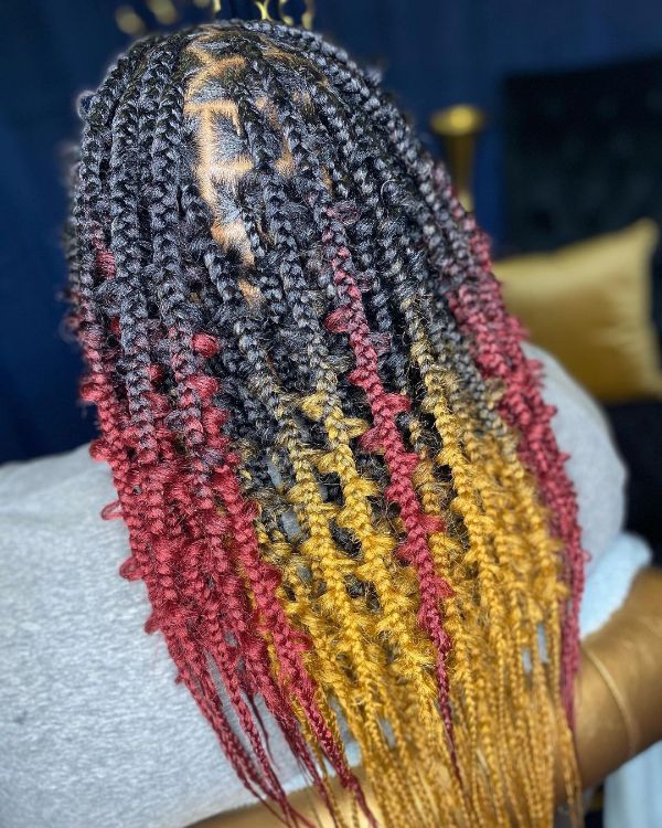 Dark Black Jungle Braids with Colorful Tips