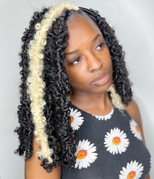 skunk stripe hair braids and locs butterfly styles