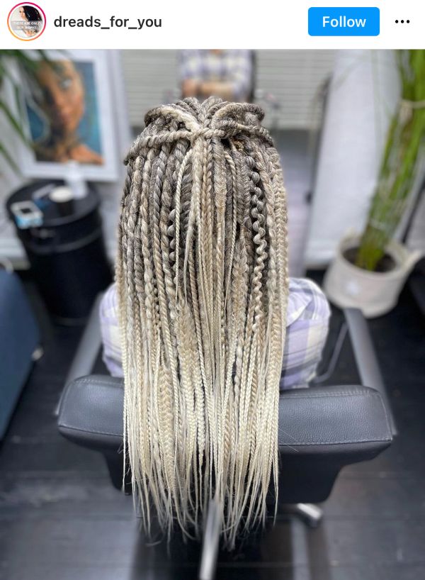 gray braids twists and dreads