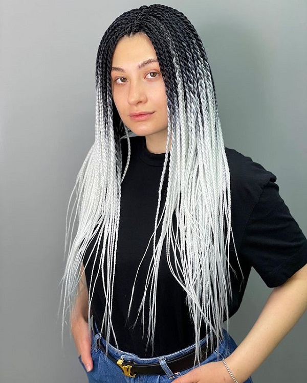 black to light gray braids