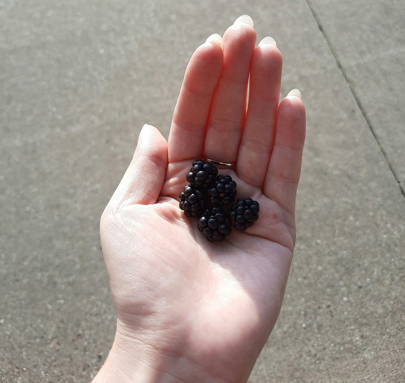 what berries are best for nails
