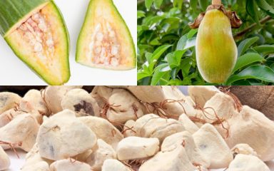 dream about baobab fruit all meanings
